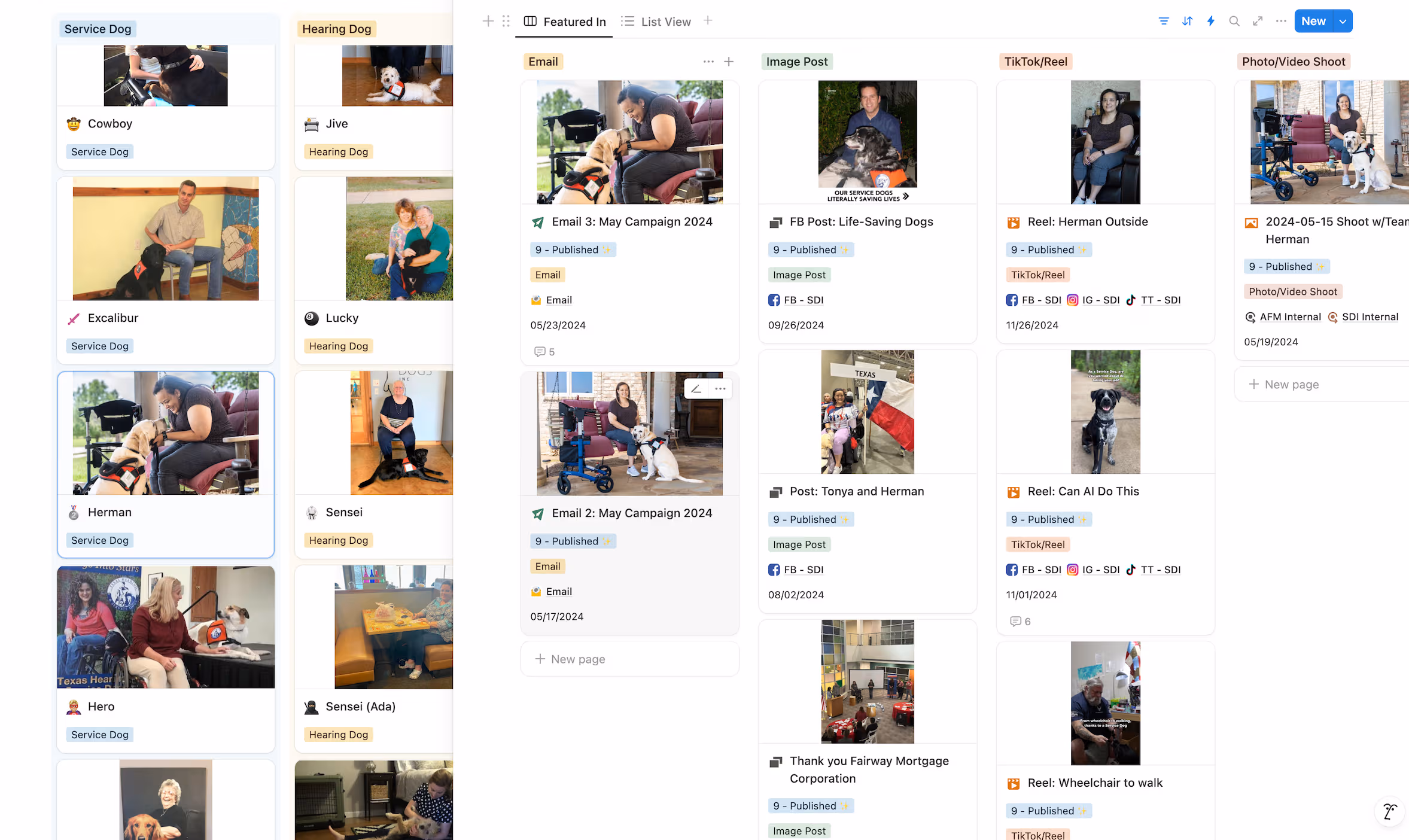 Profiles of proud service dog owners are stored in SDI's "Story Library."